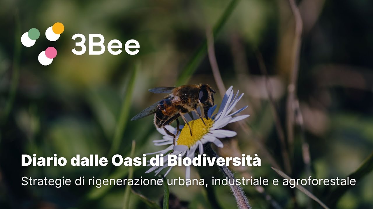 Diario dalle Oasi di Biodiversità