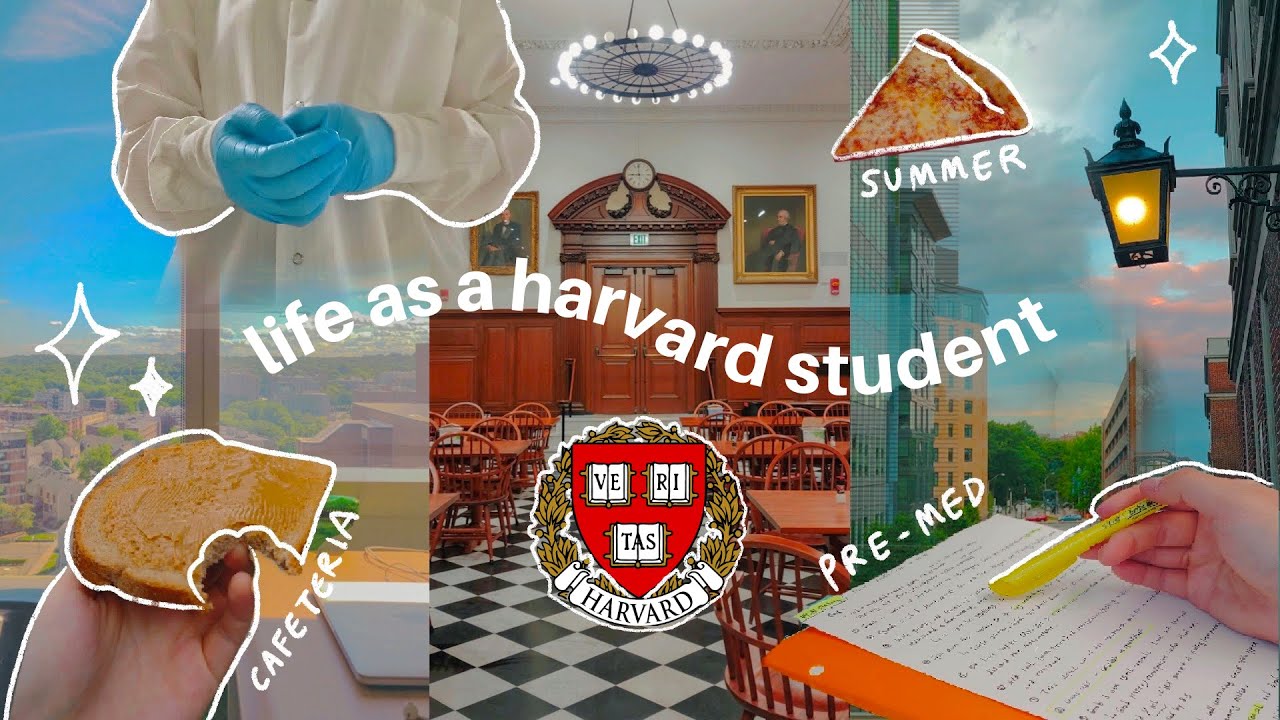 harvard vlog | day in my life as a premed student, summer research