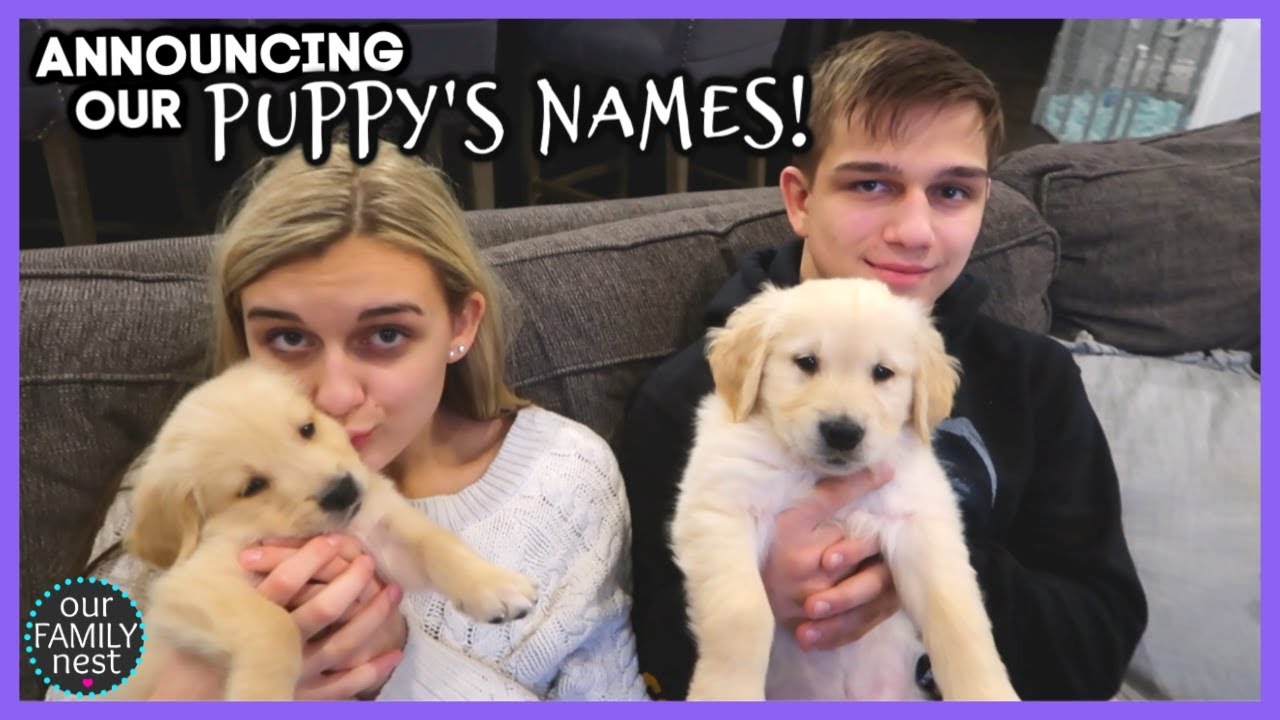 ANNOUNCING OUR GOLDEN RETRIEVER PUPPY'S NAMES!!