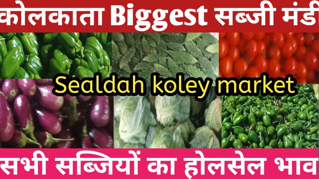 Sealdah Koley Market कोलकाता के सबसे बड़ी सब्जी मंडी में सब्जियों का होलसेल भाव पता करें||