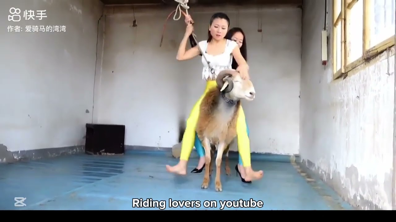 Two girls riding sheep #pony #riding #horserider #horse #donkey #sheep 