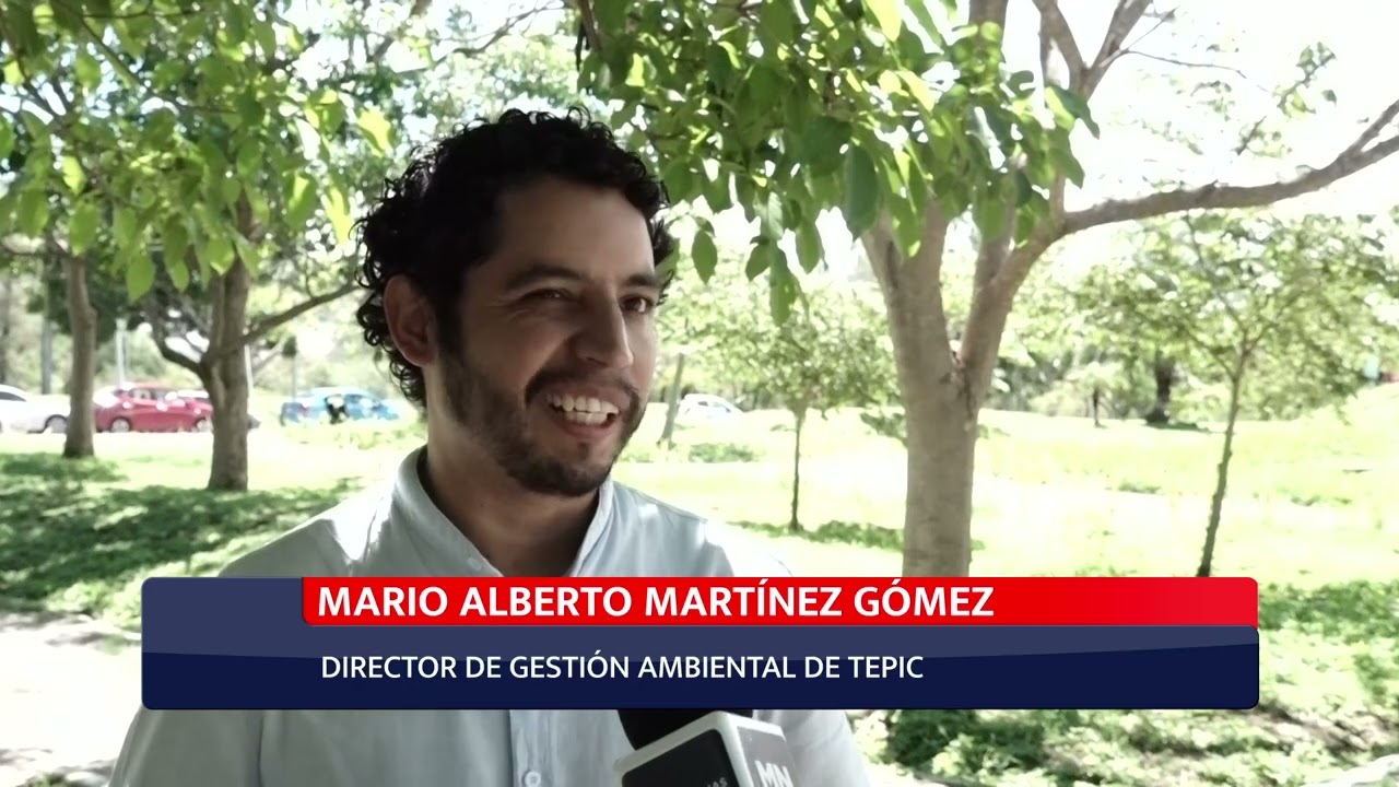 Aumento del parque automotor y su impacto en crisis ambiental