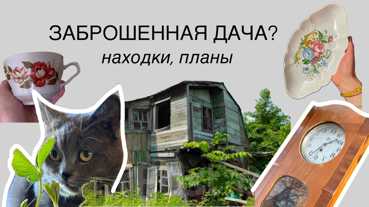 хотели купить ЗАБРОШЕННУЮ ДАЧУ, а нашли ТАКУЮ! 💗