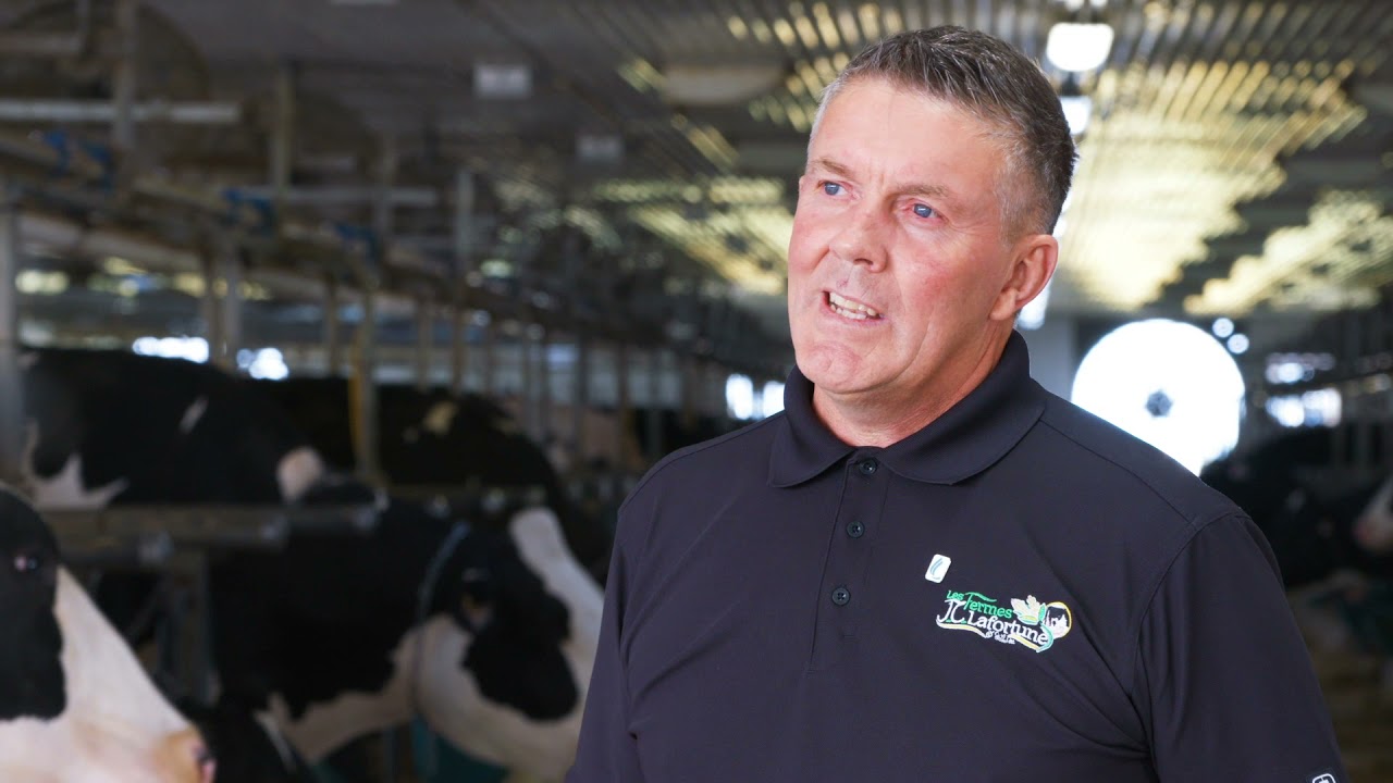 Prévention et contrôle de la leucose bovine