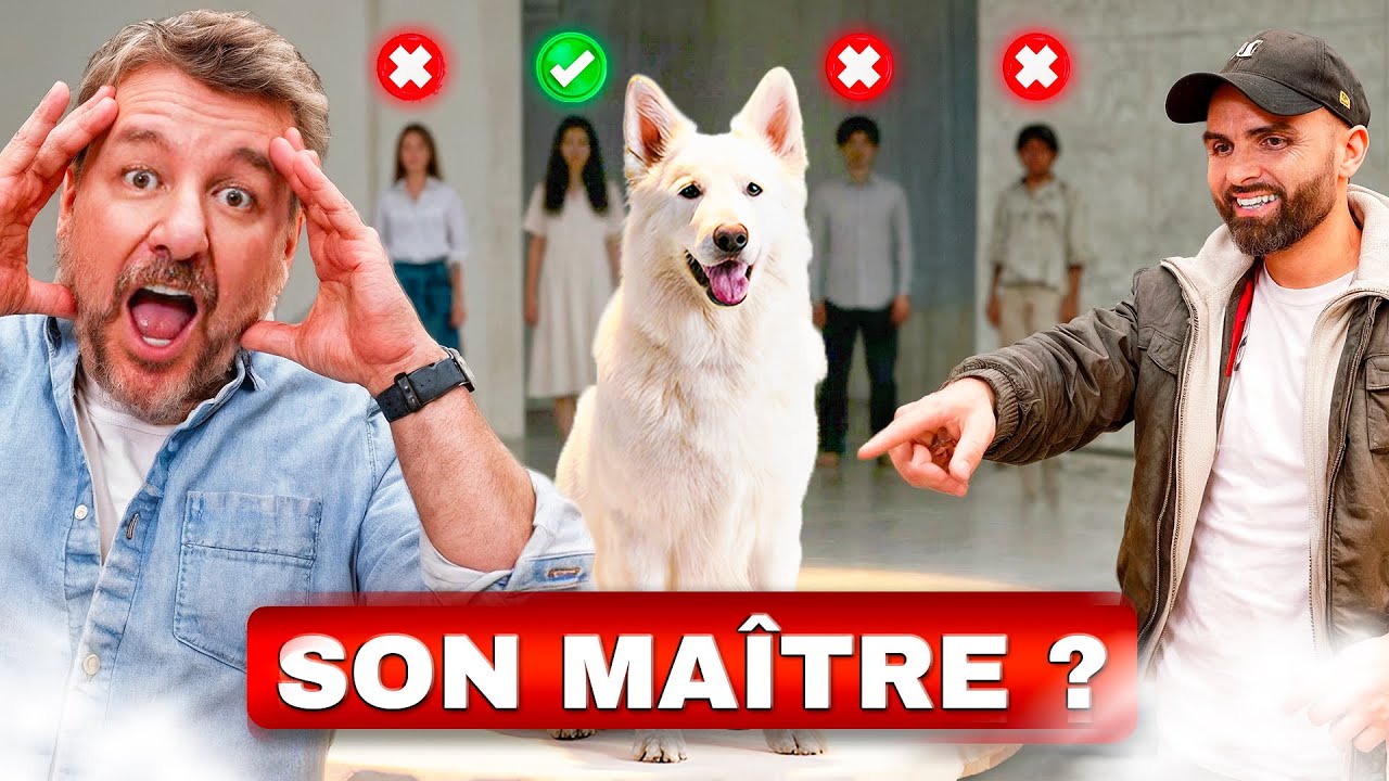 Peut-on reconnaître un maître à son chien ? Challenge avec ⁨@EspritDog⁩