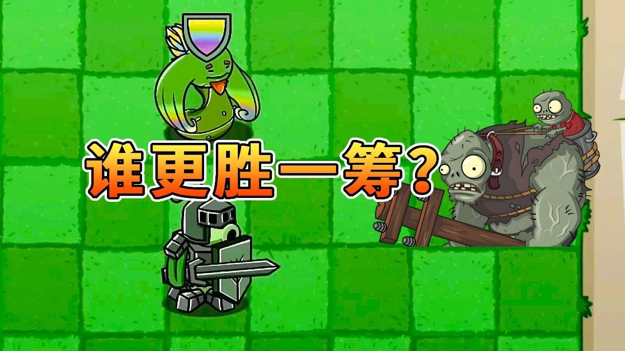 植物大战僵尸：美须藤和骑士豌豆谁更胜一筹？【我真是小熊】