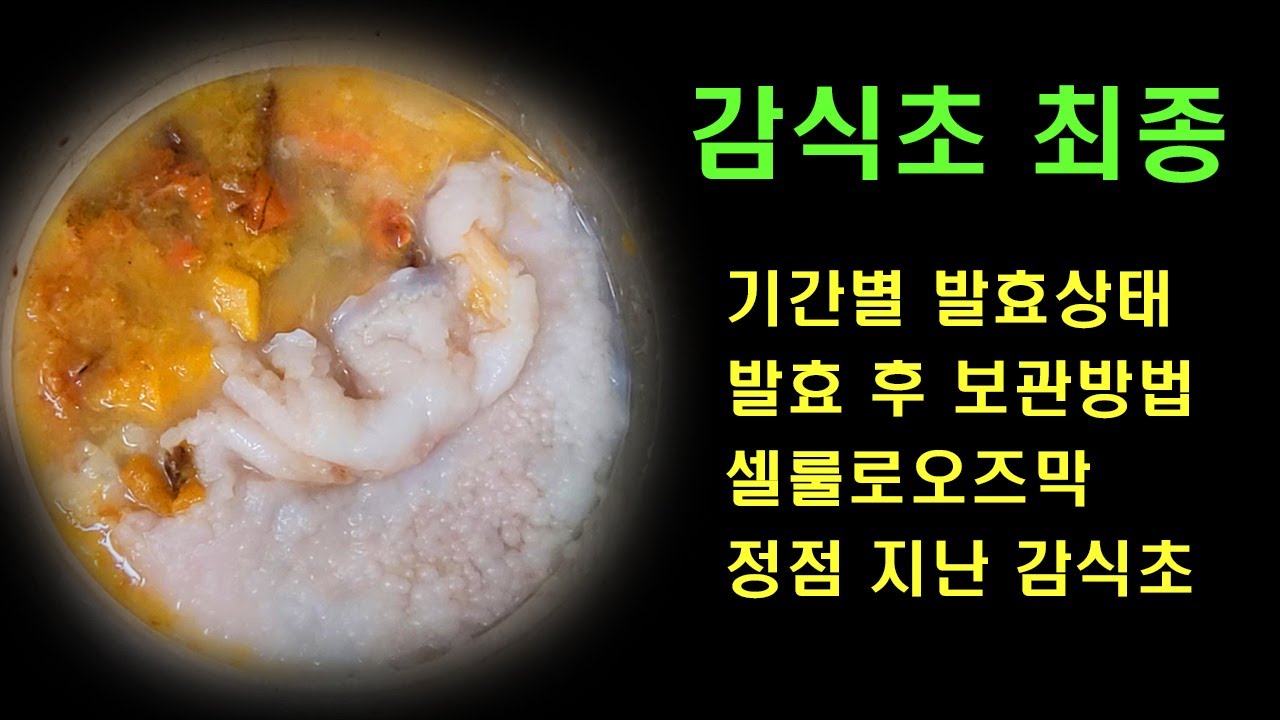 감식초 발효 기간별 상태, 발효 완료후 보관방법, 정점지난 식초