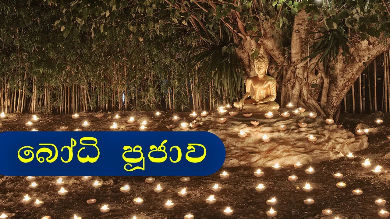 31. බෝධි පූජාව​ (වෙසක් පොහොය​ 2023) | පූජ්‍ය​ බෝපිටියේ සුමංගල ස්වාමීන් වහන්සේ | Siri Saddharmaya