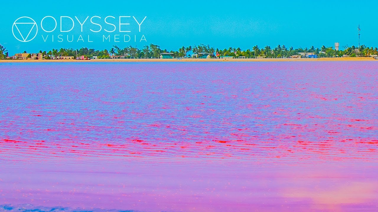 The Pink Lagoon: Las Coloradas, Yucat&aacute;n | Beautiful M&eacute;xico Travel Nature Experience Mexico