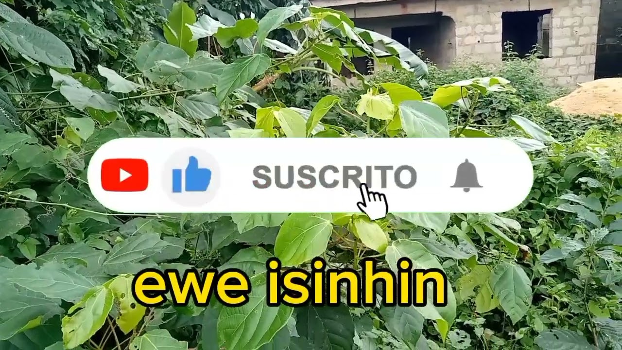 IWULO AWON EWE