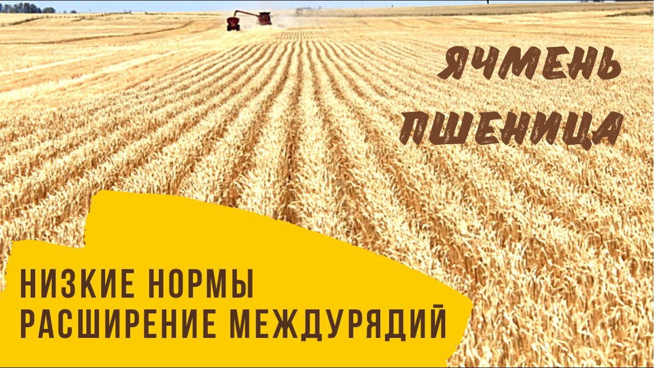 Низкая норма высева ячменя и пшеницы и возможность расширения междурядья.