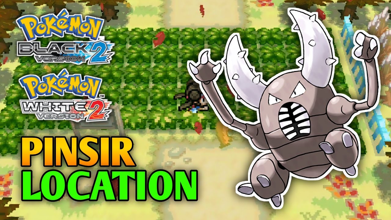 How To Catch Pinsir In Pokemon Black 2 & White 2 | Unova Region