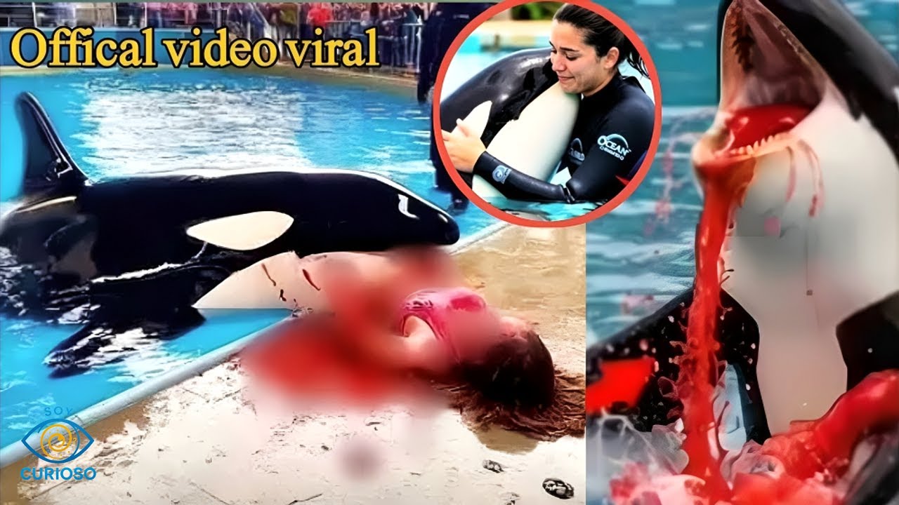 Los 5 Últimos momentos de la Entrenadora de Orcas