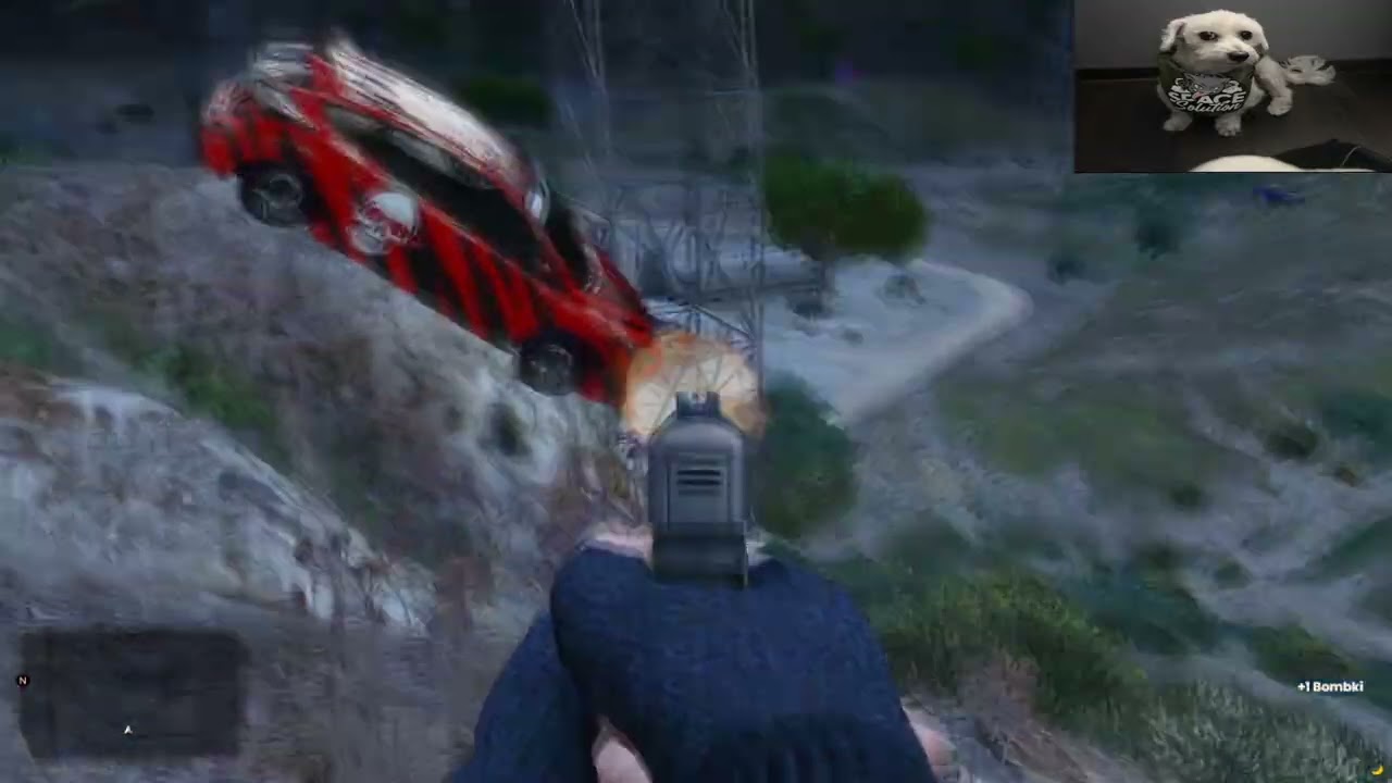 2 cheaters 1 cheat ft. Fivem enjoyer