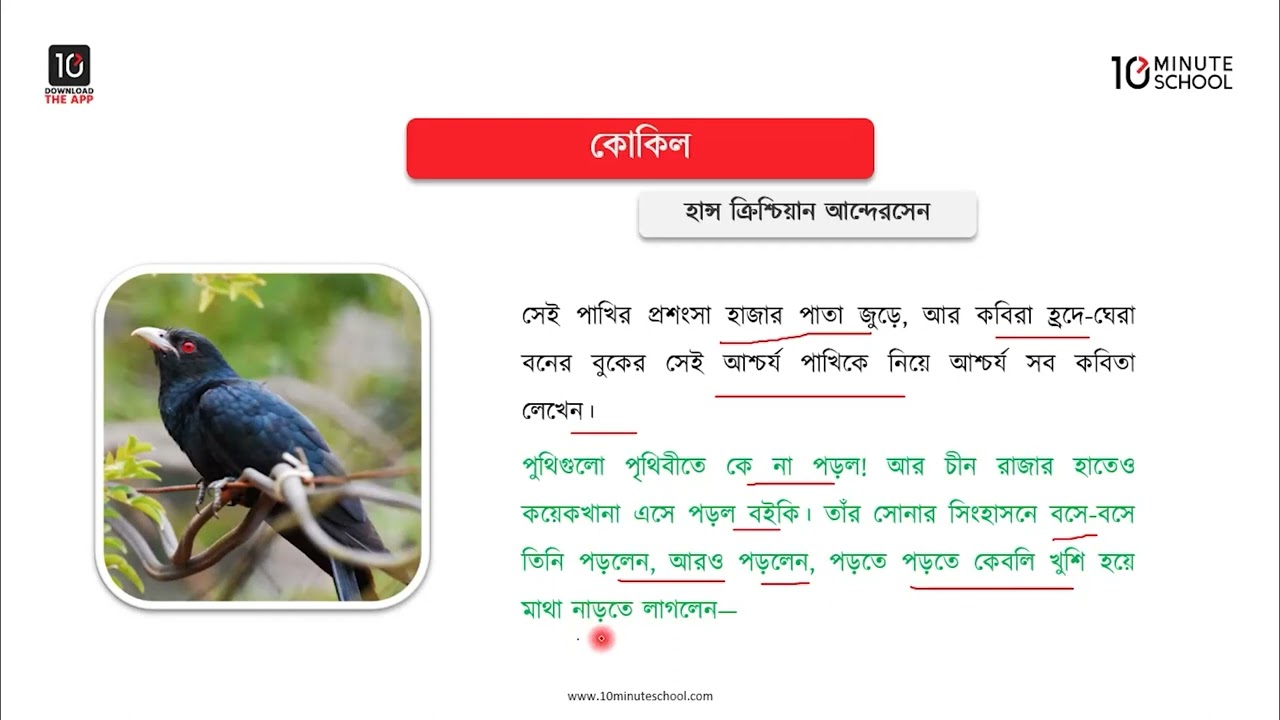 কোকিল - মূলভাব - ১ [Class 7]