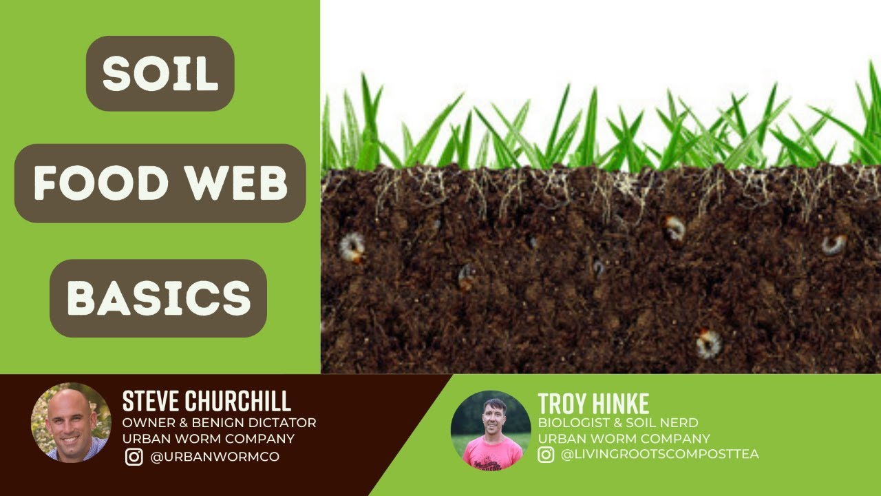 Soil Food Web Basics