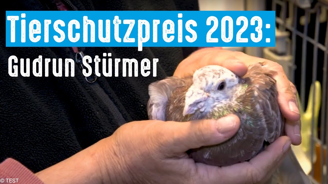 Deutscher Tierschutzpreis 2023 - Lebenswerk von Gudrun Stürmer