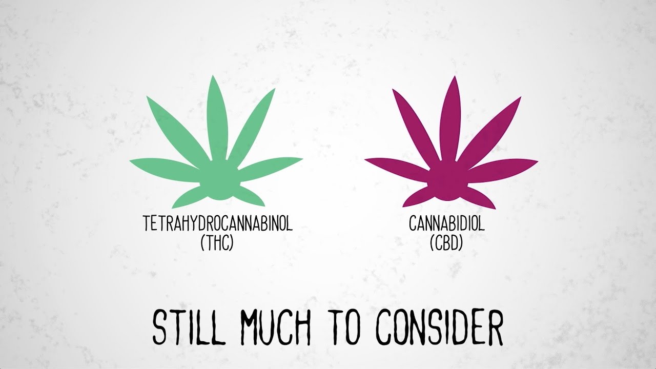 CBD or THC? Cannabis Road