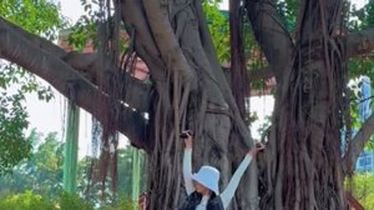 大年初二回娘家，但是我再也看不到妈妈 所有离开的人，都会在梦底相见 #思念 #情感抒发 #慢下来看世界 #过年 #坚持锻炼给自己一个好身体
