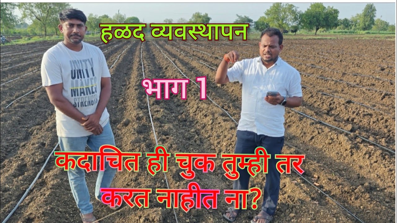 हळद प्रश्न तुमचे उत्तर आमचे भाग 1 #हळद#agriculture