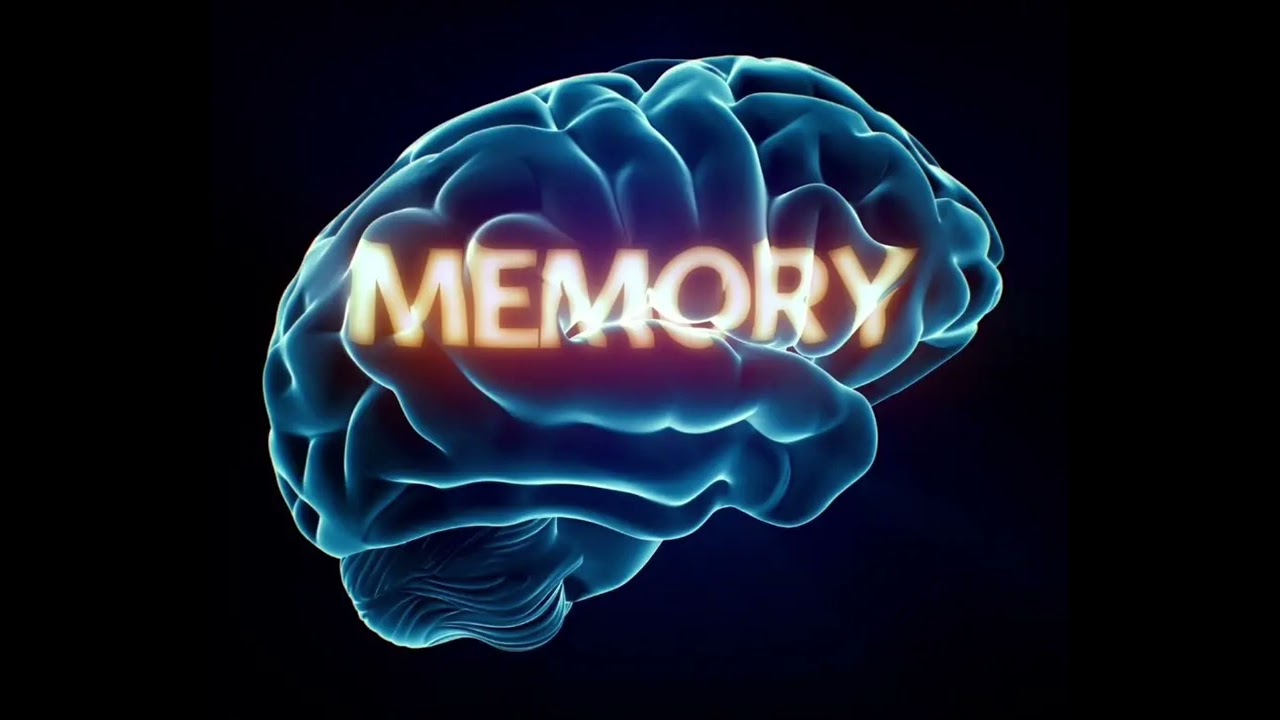 MEMORY - JN Ft.JACKRYAN (Prod.youngbannok)