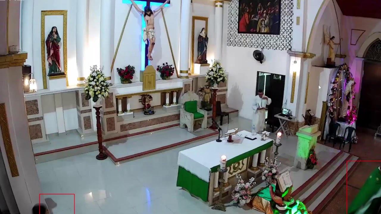 Santa eucaristia 6:30pm 25/01/2026