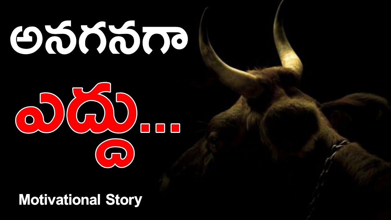 Heart Touching OX 🐃 Story That Makes You CRY | Inspiring | Voice Of Telugu
