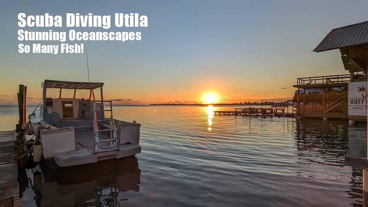 Suba Diving in UTILA, Honduras - An INCREDIBLE Adventure Under the Sea - Vlog #60 Looks Best at 4K!