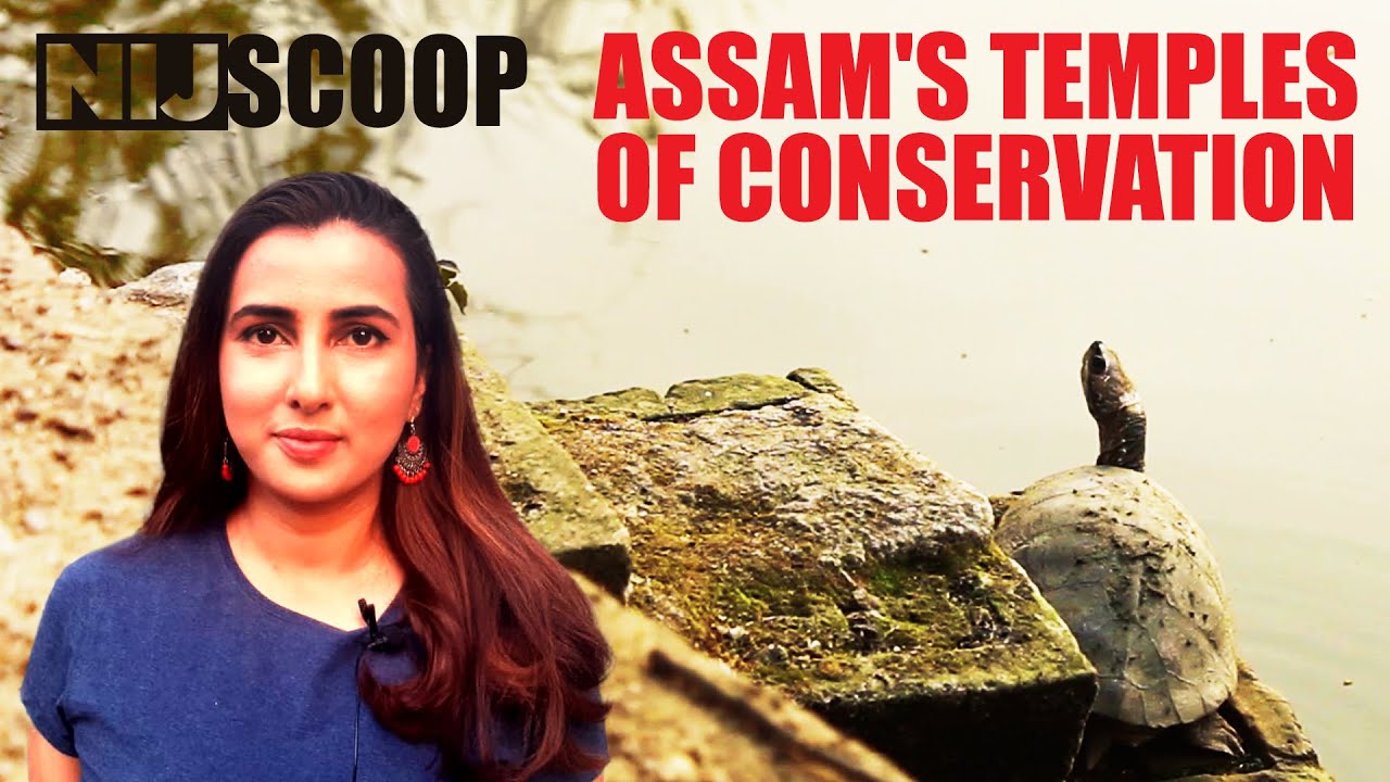 Assam's temples of conservation