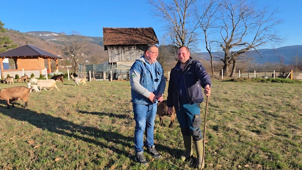 KOZE I POSAO U OSIGURANJU – Dobitna kombinacija: Priča mladog domaćina iz Kuprešana 