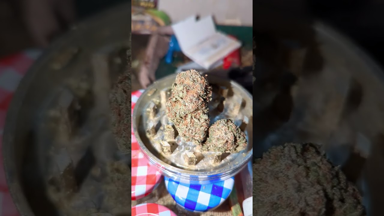 Justin Trudope Strain