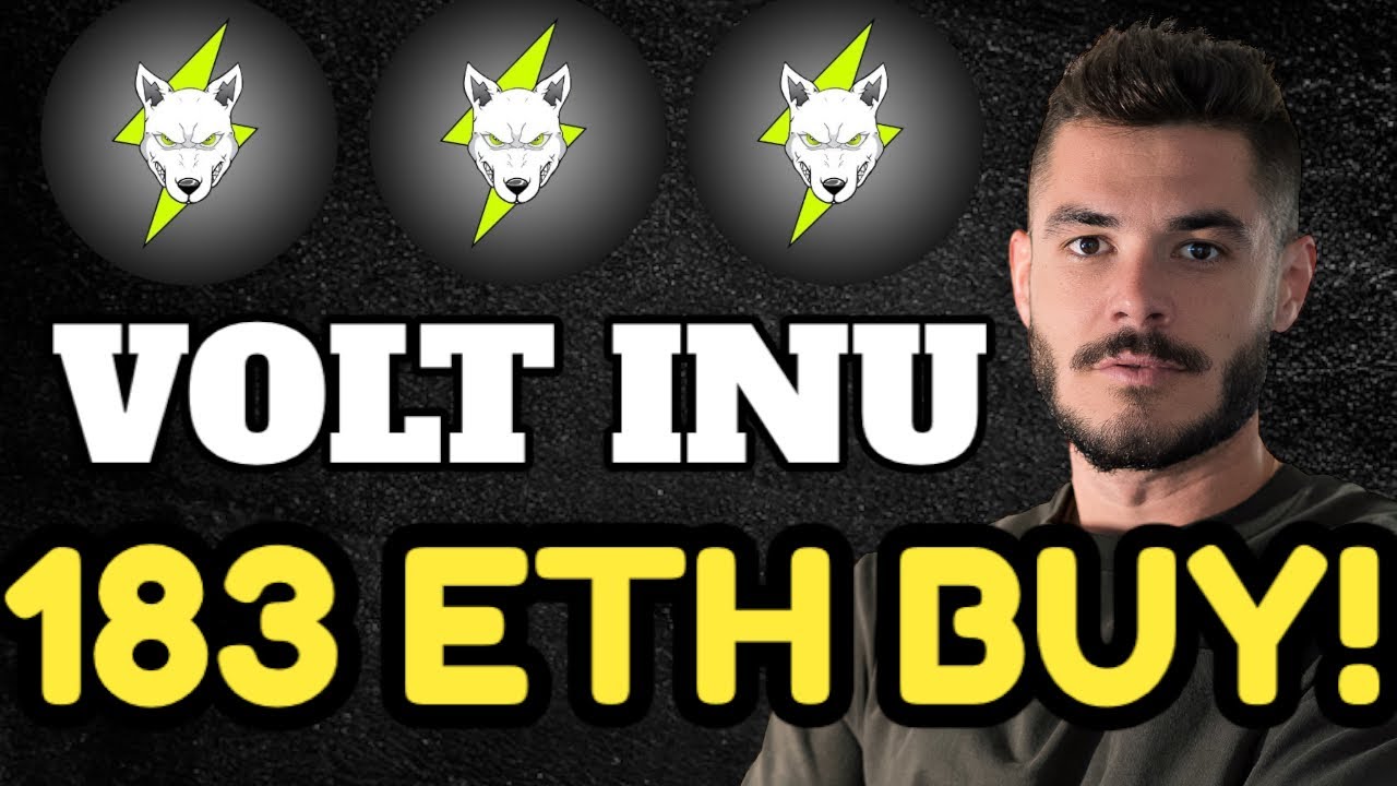 Volt Inu: BIG Buys From HUGE Whales!