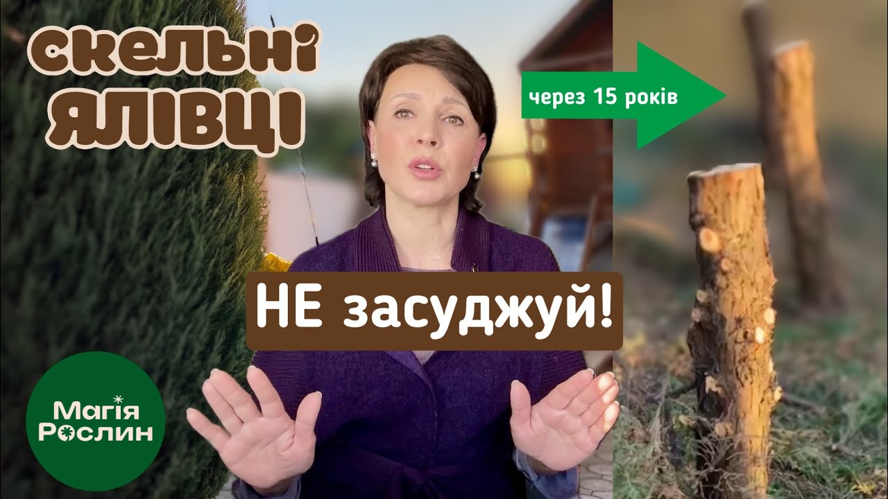 Скельні ялівці в саду: досвід, про який не попереджають
