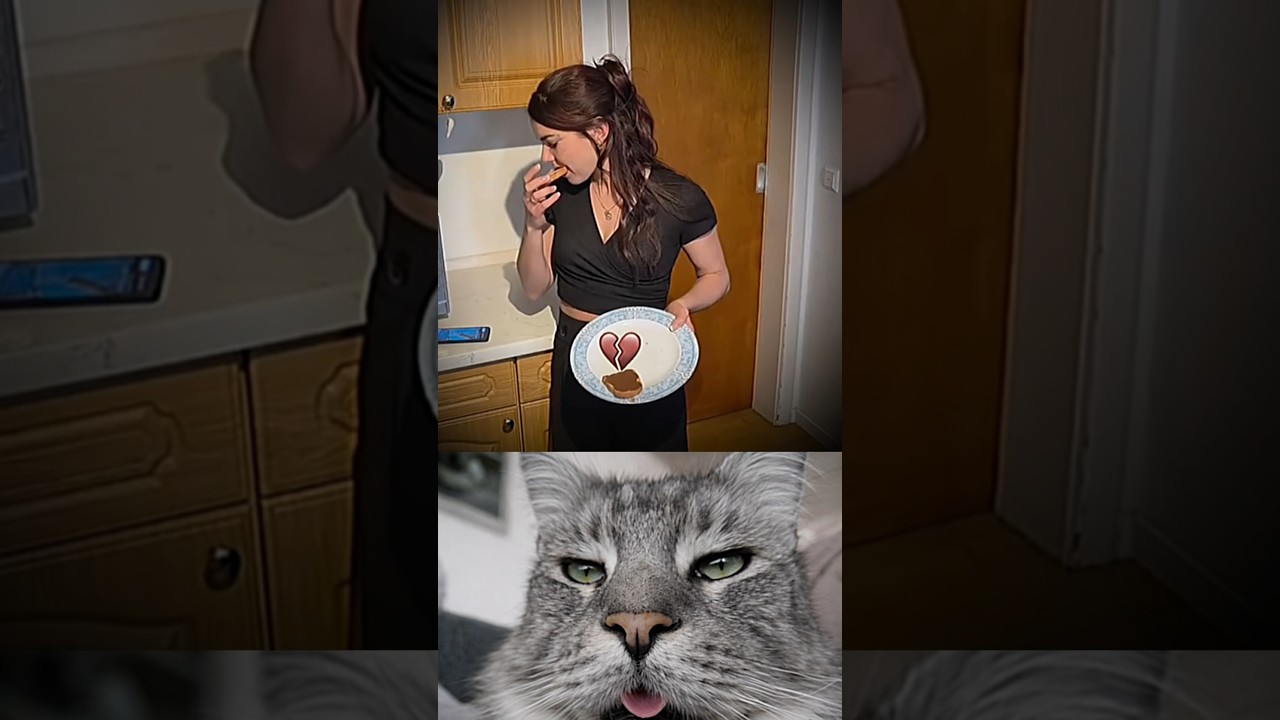 POV Breakup Damage Level 100💔😂#funny #memes #cat #trending