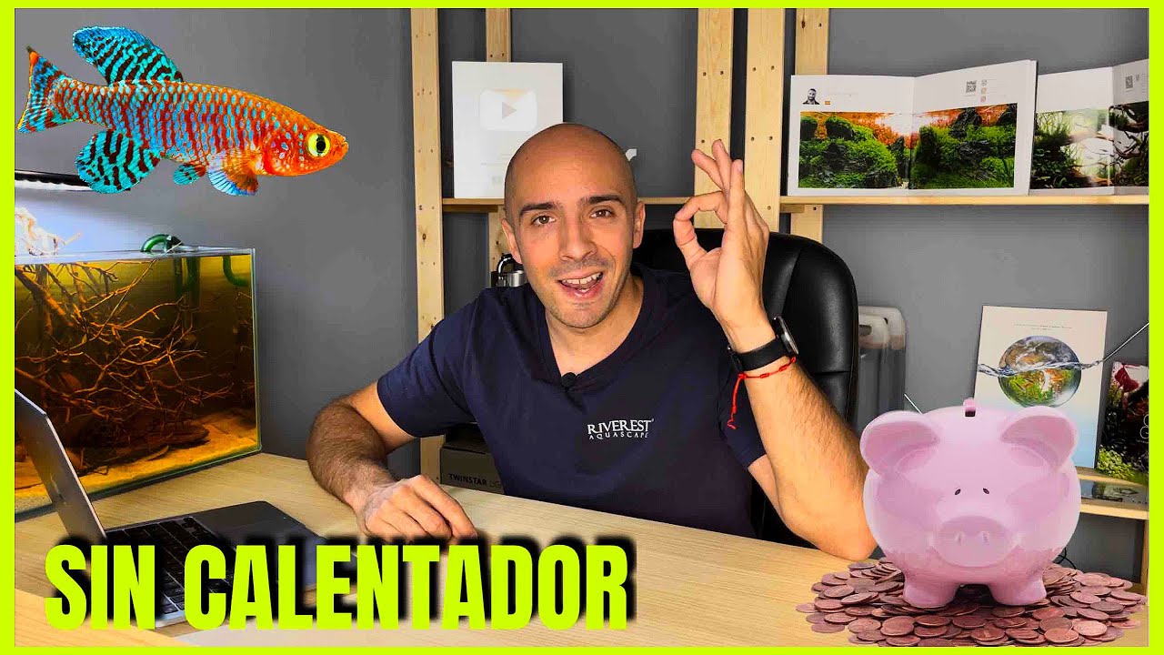 PECES TROPICALES DE AGUA FRÍA PARA AHORRAR EN LA FACTURA DE LA LUZ