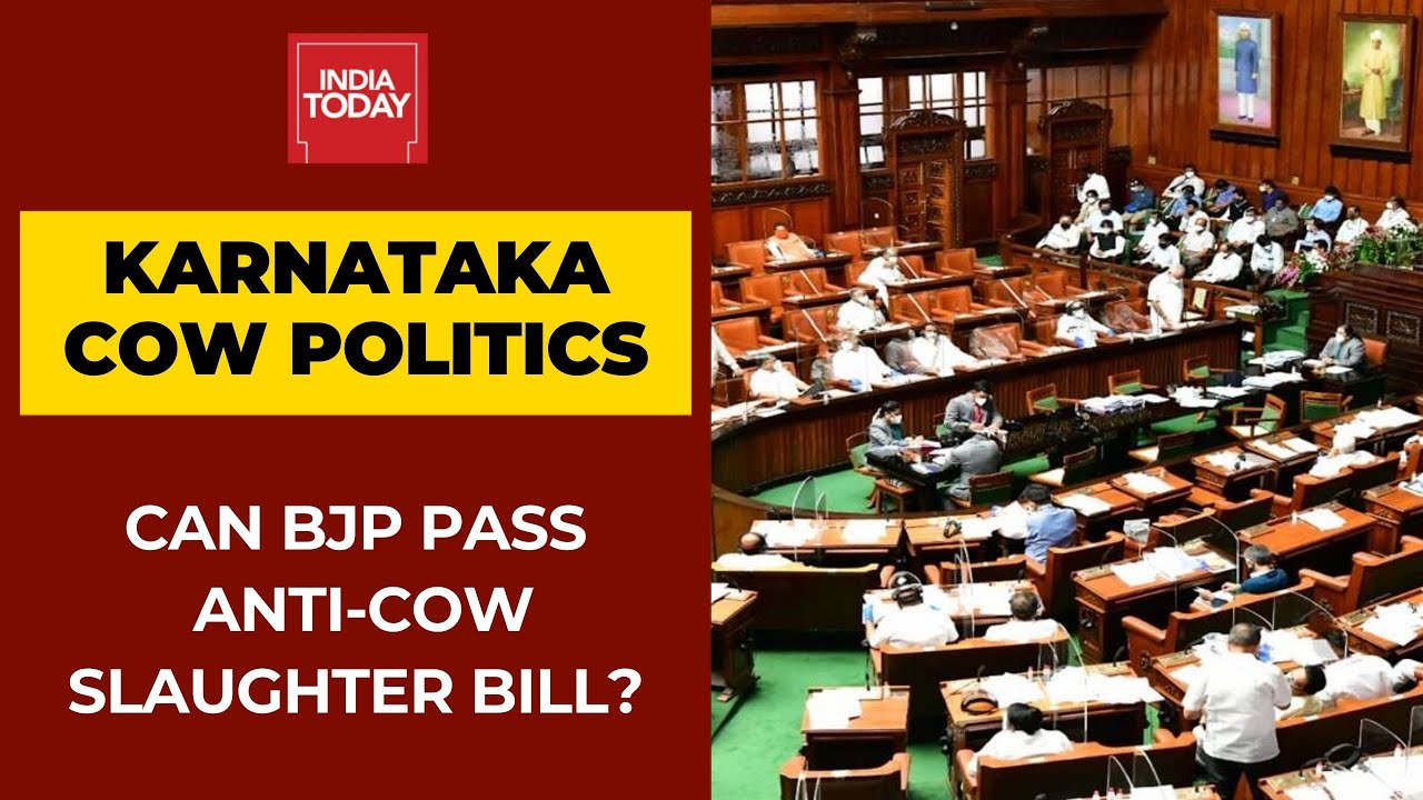 Can BJP Pass Anti-Cow Slaughter Bill In Karnataka Legislative Council?