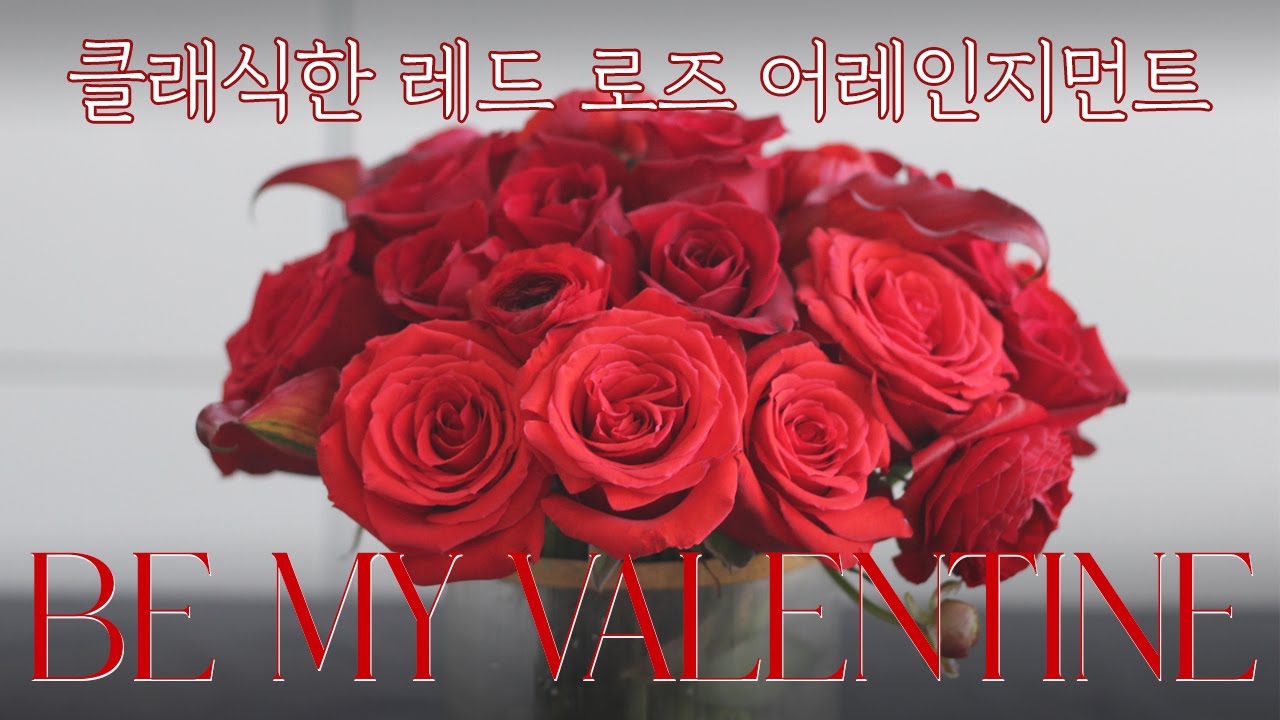 Be my valentine [클래식한 레드 로즈 어레인지먼트]