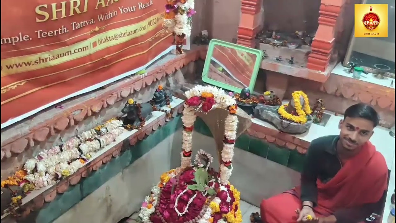 Vaidyanath Dosh-Nivaran Rudrabhishek