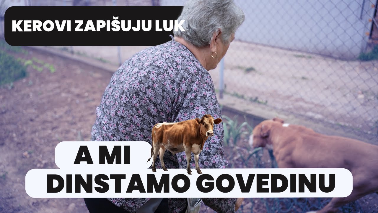 Dinstamo Govedinu A Kerovi Me Nerviraju i Unuci
