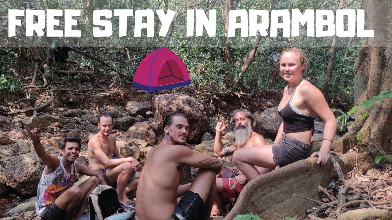 Goa Arambol|Free Stay in Arambol Goa|Jungle Stay Banyan Tree Arambol Goa|Trek to Arambol Jungle|