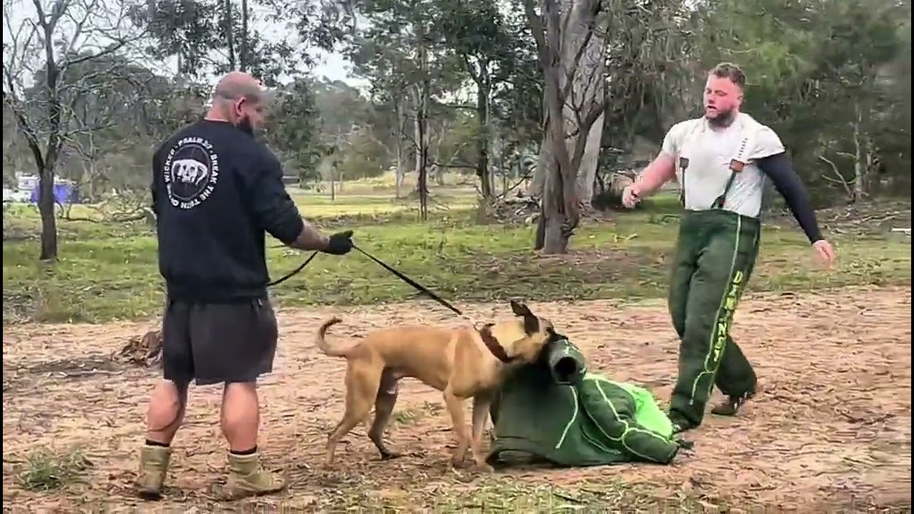 Vicar working on targeting before IRONDOG AUSTRALIA 2024