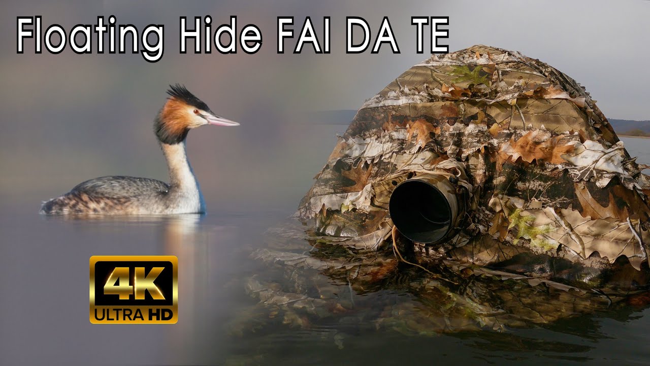 Filmare gli uccelli acquatici dal capanno galleggiante con Nikon Z50 e Nikon 500mm PF | Vlog 4K
