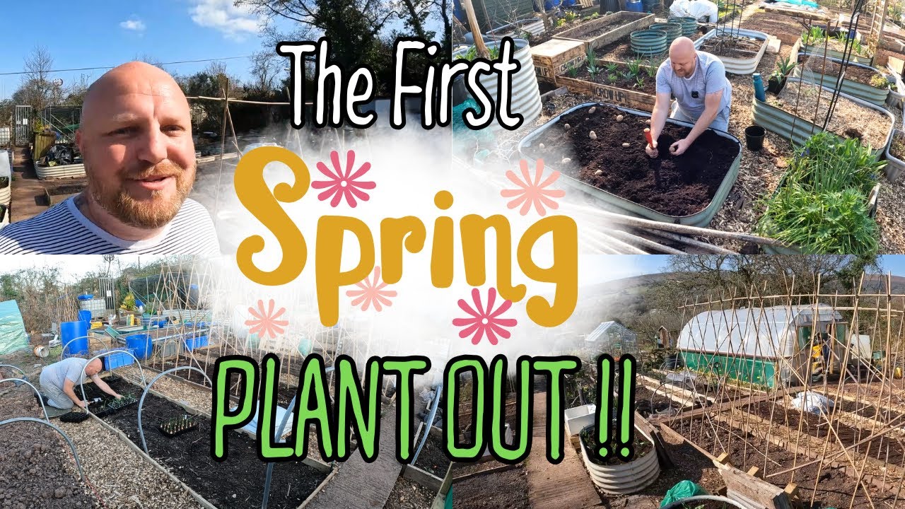 Spring planting | Going against No Dig | Potatoes and Onions | Early Strawberries