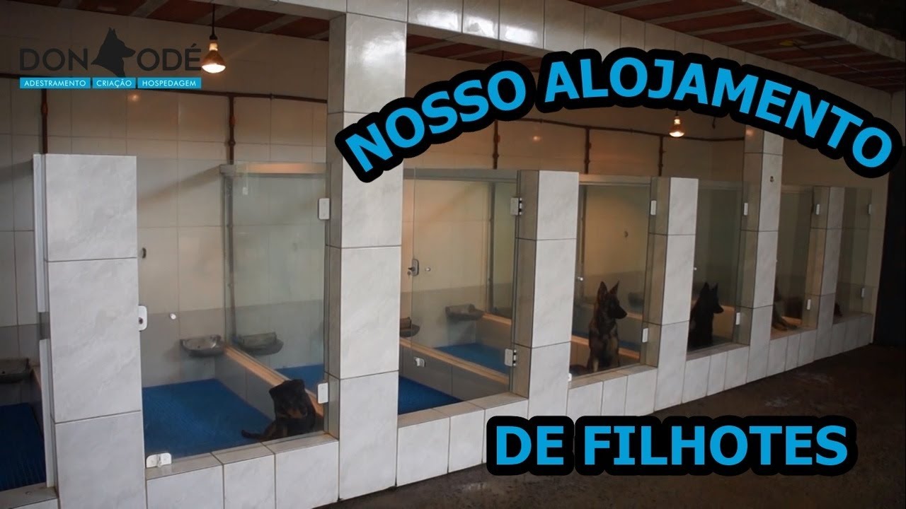Criação Don Odé - Alojamento de Filhotes