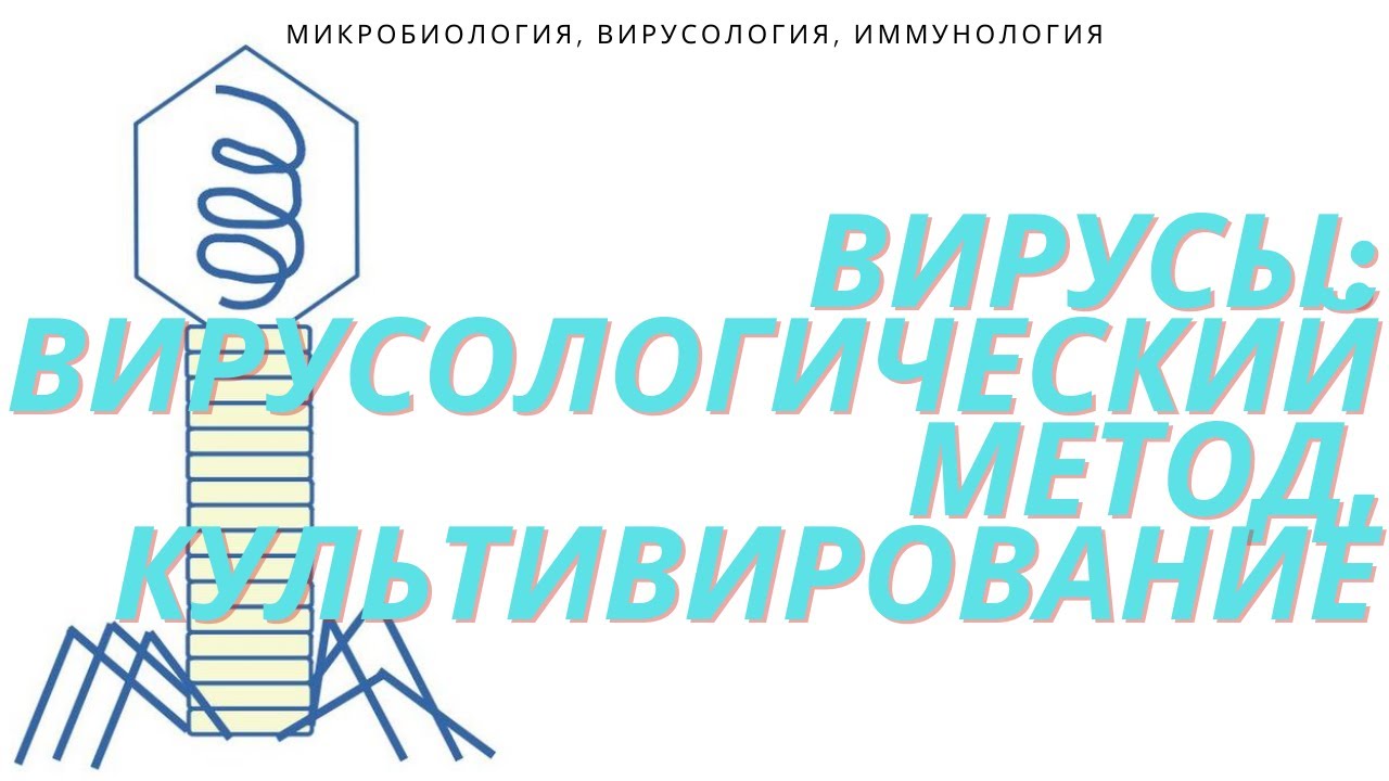 Вирусологический метод диагностики  Методы культивирования вирусов