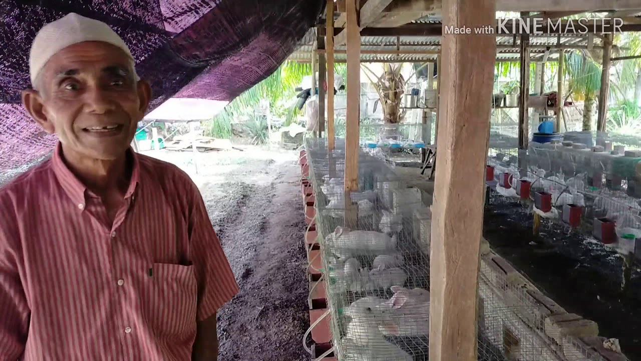INOVASI USAHAWAN ARNAB..🐇🐇🐰...HASIL LUMAYAN..