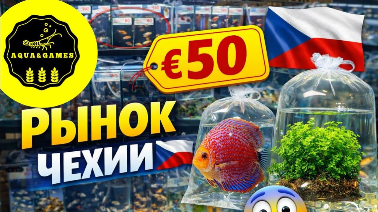 🐠🦞Что продают на аквариумном базаре в Чехии? ЦЕНЫ, рыбы, растения! Aquarium Market Czech Republic!