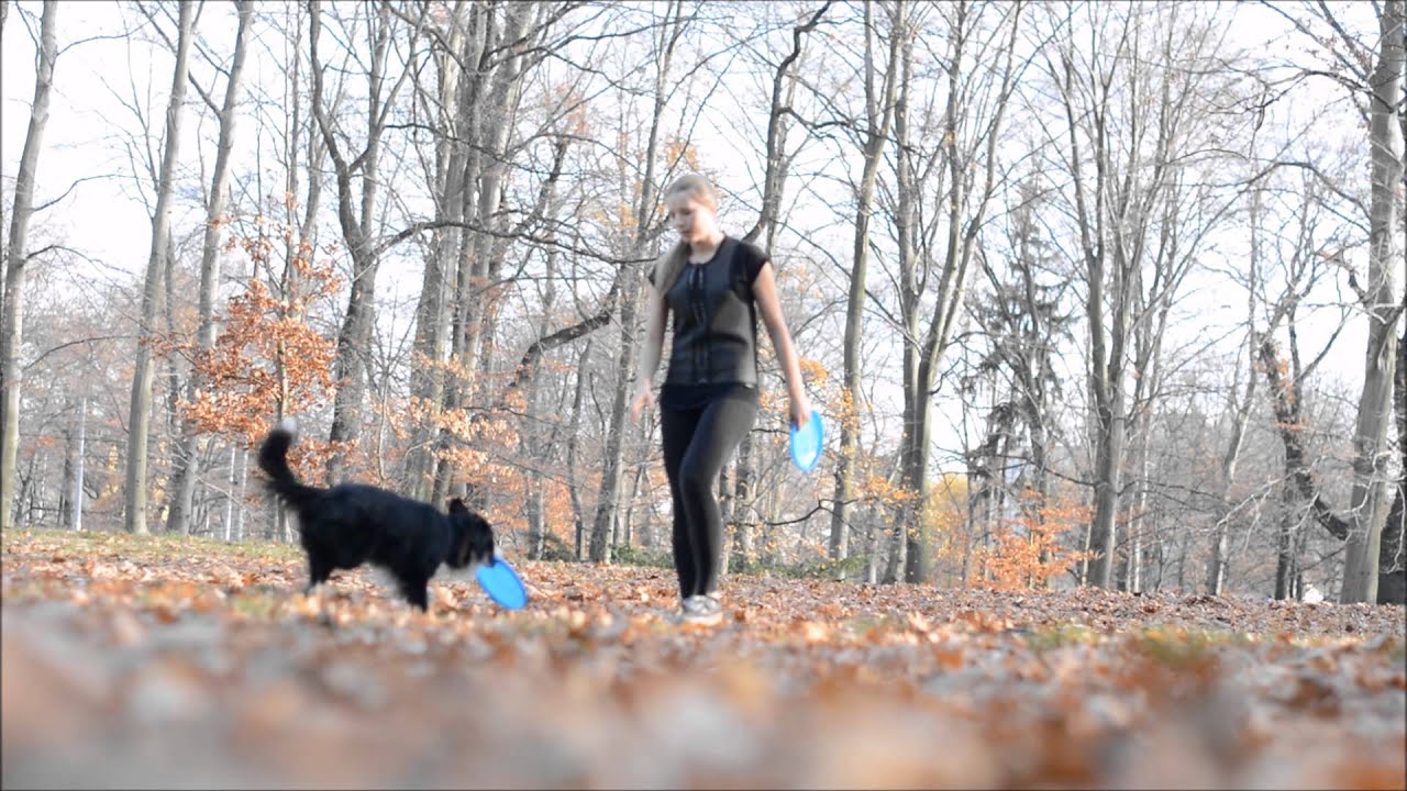 Dogfrisbee training with Lotka