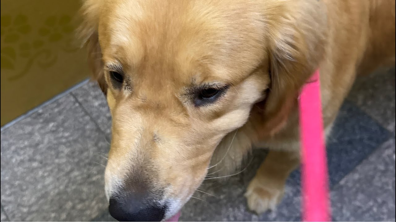 소통 라방🥰