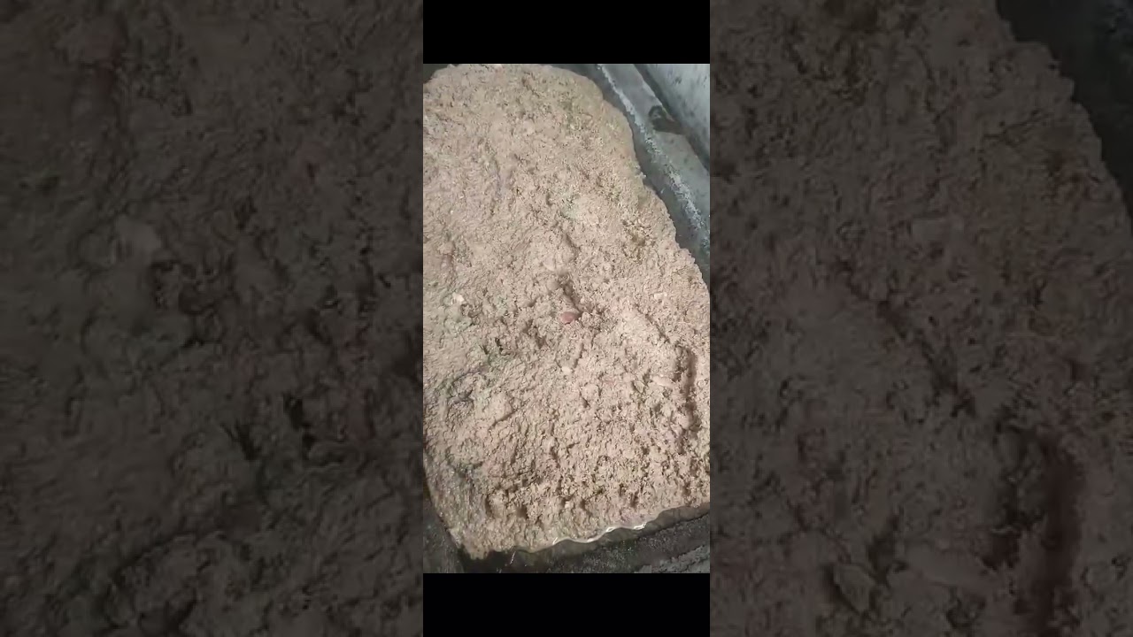 How to Seperate Black Soldier Fly Larvae and Frass